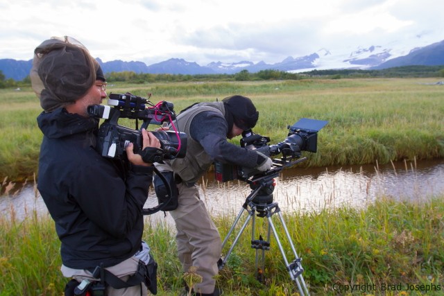 bbc, great bear stakeout, images of making of