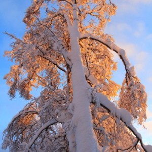 Alaska winter pictures, alaska winter blizzard image, brad josephs