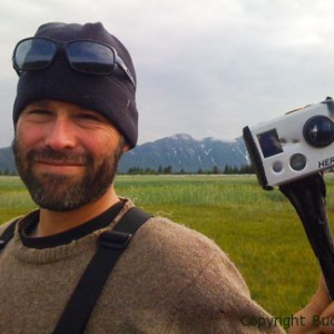 brad josephs, alaska, bears image