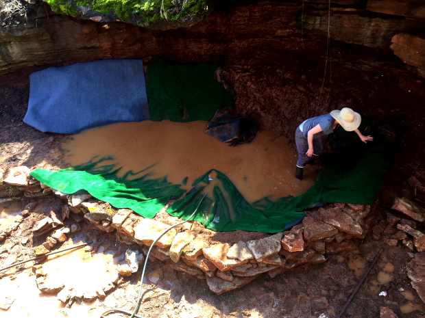 We placed astro turf in the bottom to provide protection for our pond liner from rocks on the ground. 