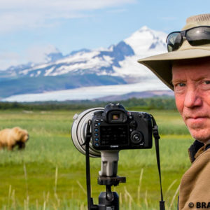 is bear viewing safe? katmai alaska