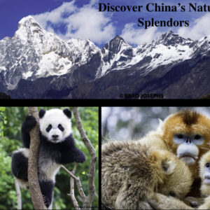 webinar on china nature travel